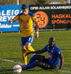 Viðar Ari Jónsson, Pape Mamadou Faye