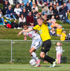 Arnór Snær Guðmundsson