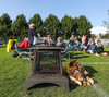 Tailgate Vikes