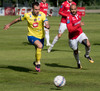 Milan Joksimovic, Dion Acoff