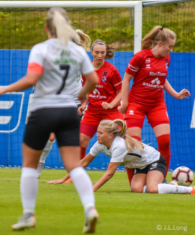 Myndaveisla: Haukar fóru létt með FH