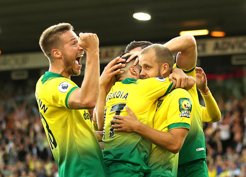 Einkunnir Norwich og Man City: Pukki bestur