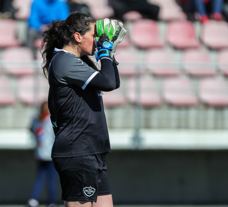Myndaveisla: Selfoss meistari meistaranna