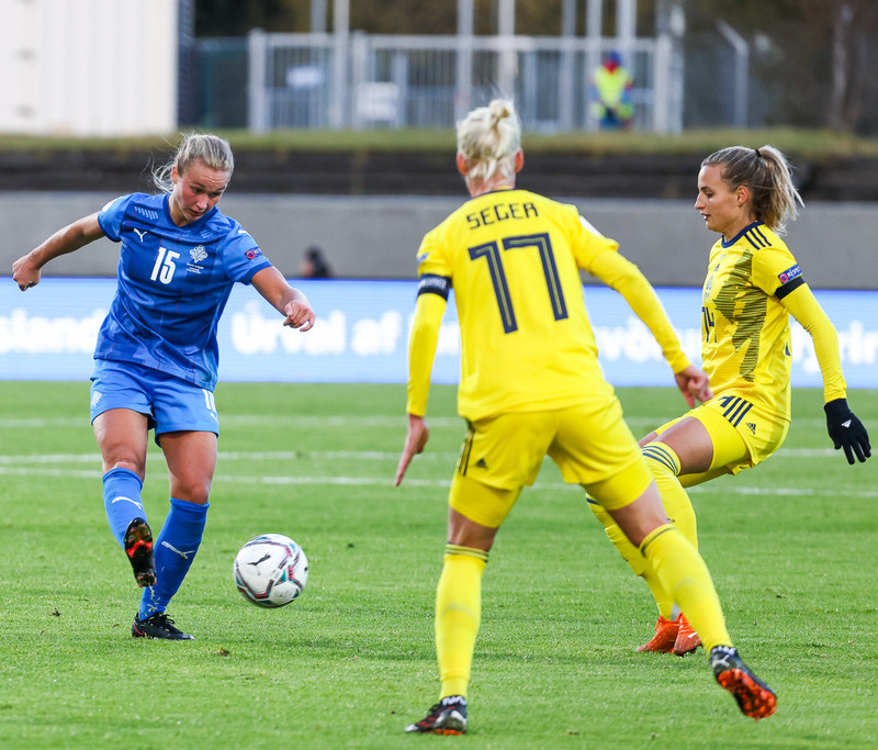 Myndaveisla frá jafntefli Íslands gegn Svíþjóð