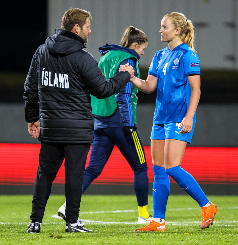 Myndaveisla frá jafntefli Íslands gegn Svíþjóð