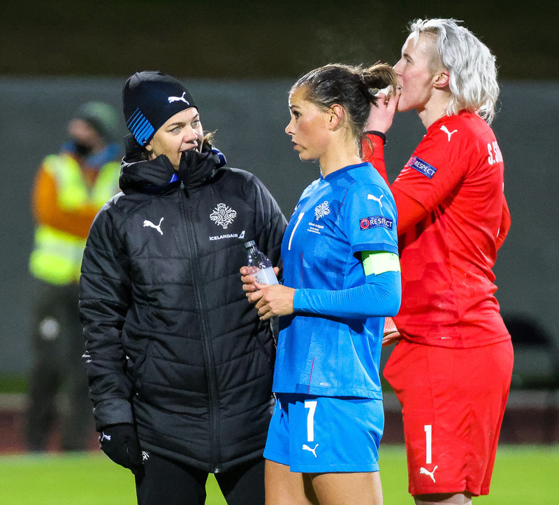 Myndaveisla frá jafntefli Íslands gegn Svíþjóð
