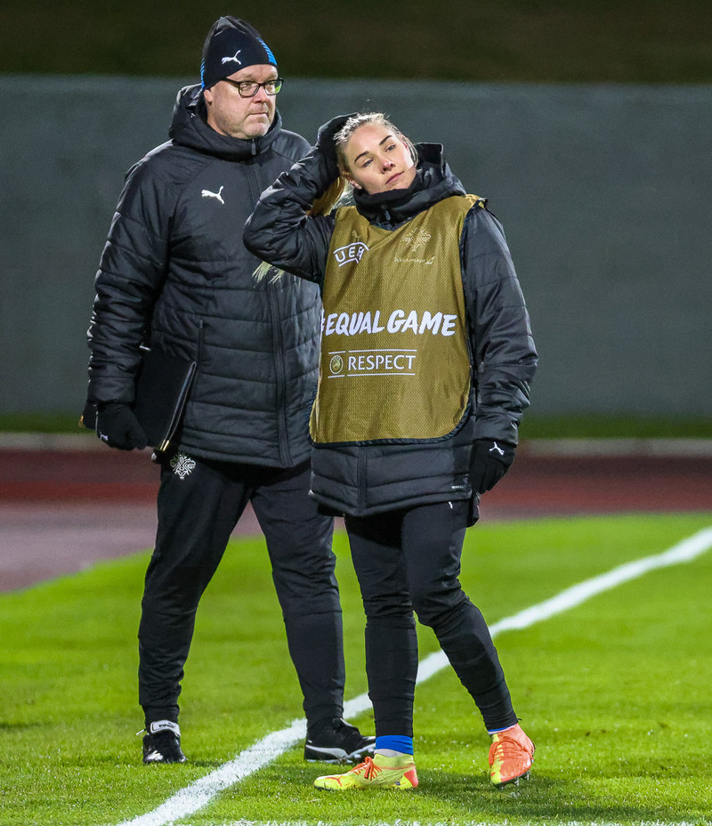 Myndaveisla frá jafntefli Íslands gegn Svíþjóð