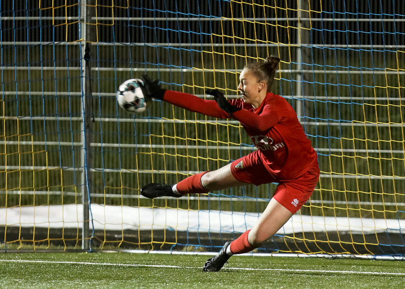 Myndaveisla: FH Íslandsmeistari í 3. flokki kvenna