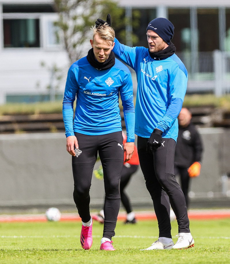 Hörður Ingi Gunnarsson og Aron Einar Gunnarsson.