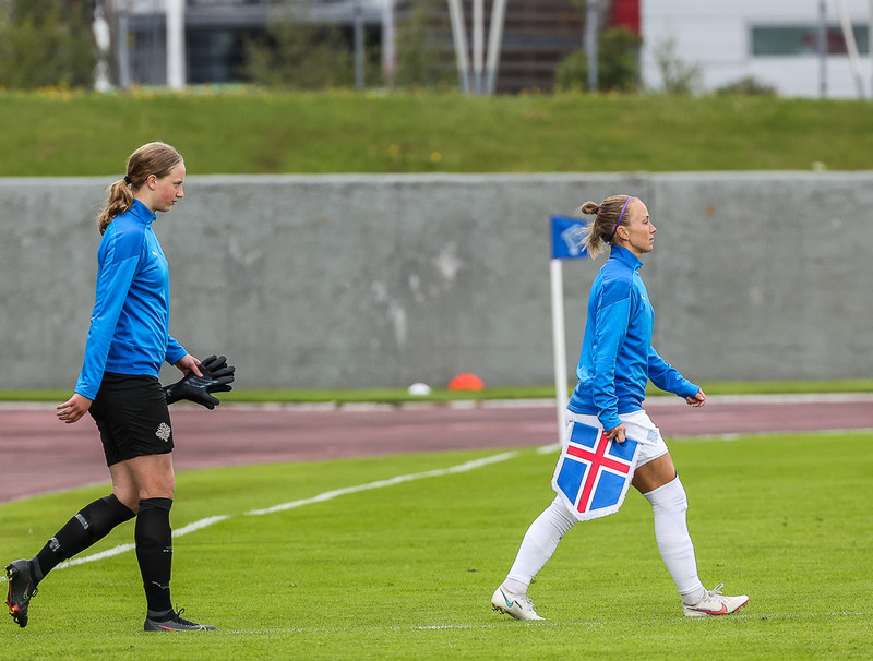 Myndaveisla frá sigri Íslands á Írlandi í gærkvöldi