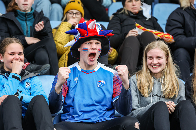 Myndaveisla frá sigri Íslands á Írlandi í gærkvöldi