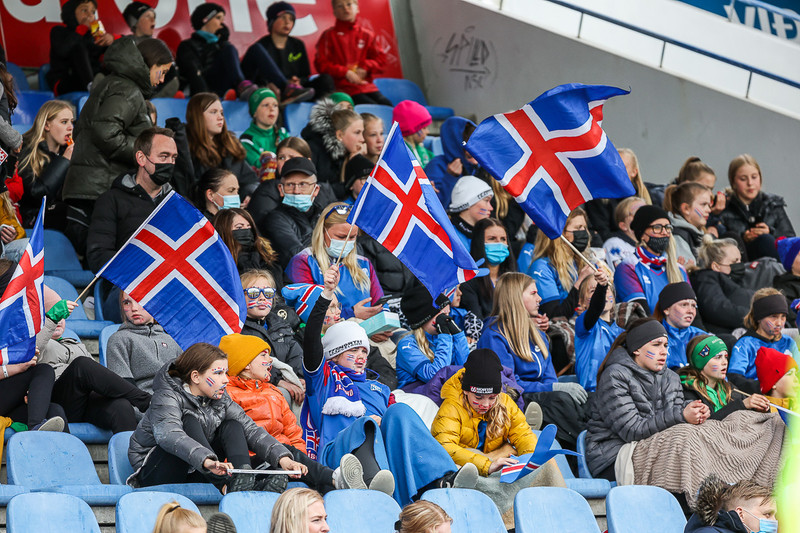 Myndaveisla frá sigri Íslands á Írlandi í gærkvöldi