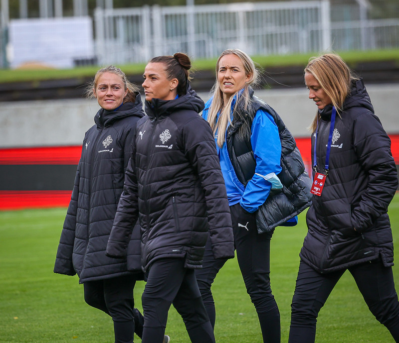 Myndaveisla 1: Holland vann Ísland á Laugardalsvelli