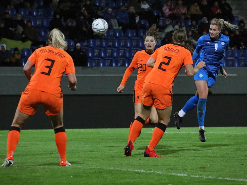 Myndaveisla 1: Holland vann Ísland á Laugardalsvelli