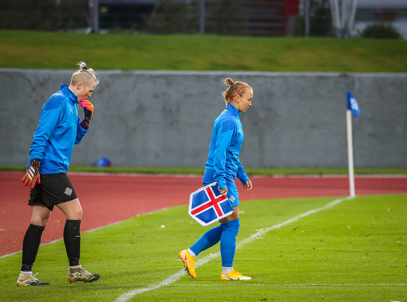 Myndaveisla 1: Holland vann Ísland á Laugardalsvelli