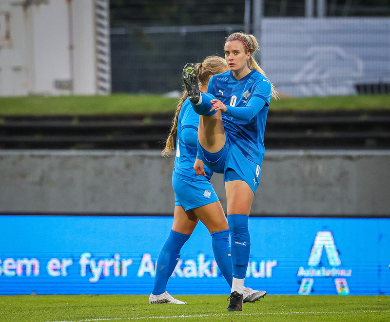 Myndaveisla 1: Holland vann Ísland á Laugardalsvelli