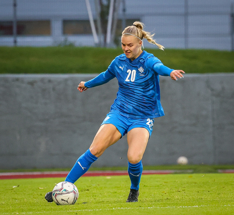 Myndaveisla 1: Holland vann Ísland á Laugardalsvelli