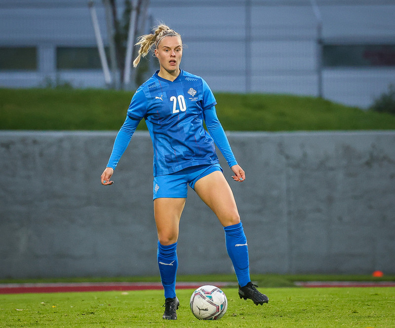 Myndaveisla 1: Holland vann Ísland á Laugardalsvelli