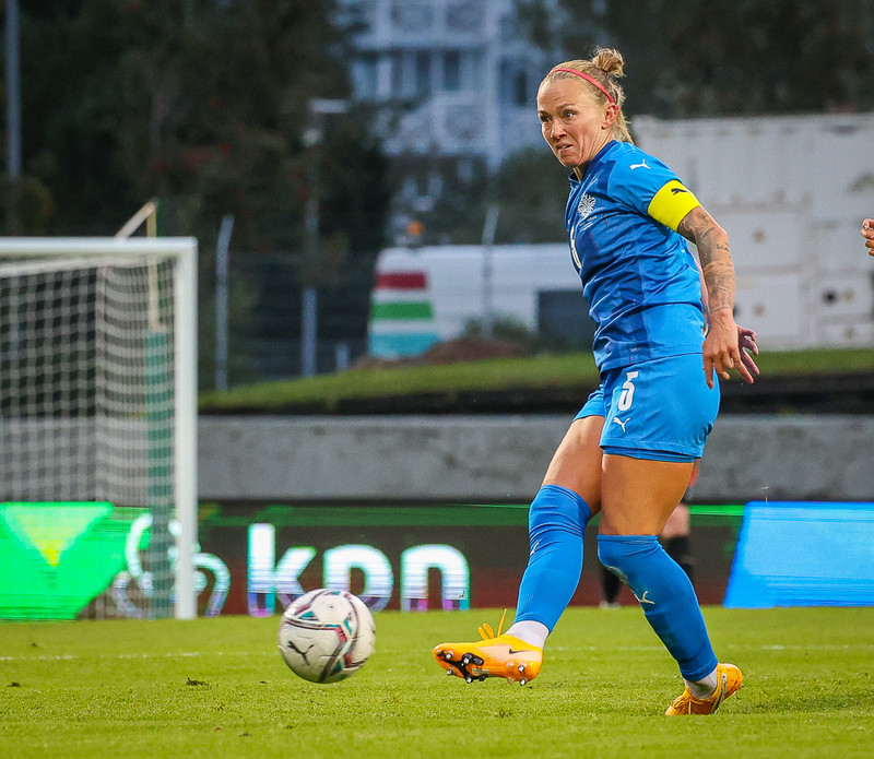 Myndaveisla 1: Holland vann Ísland á Laugardalsvelli
