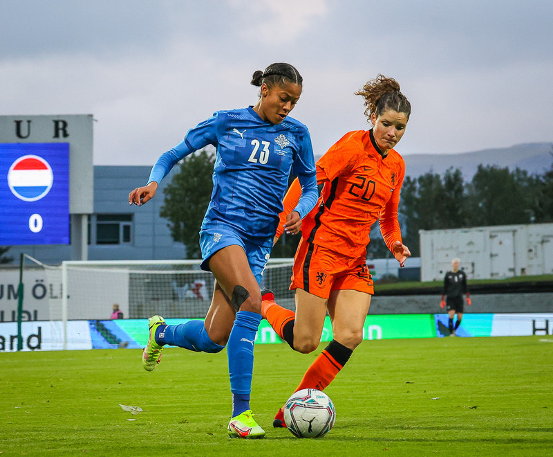 Myndaveisla 1: Holland vann Ísland á Laugardalsvelli