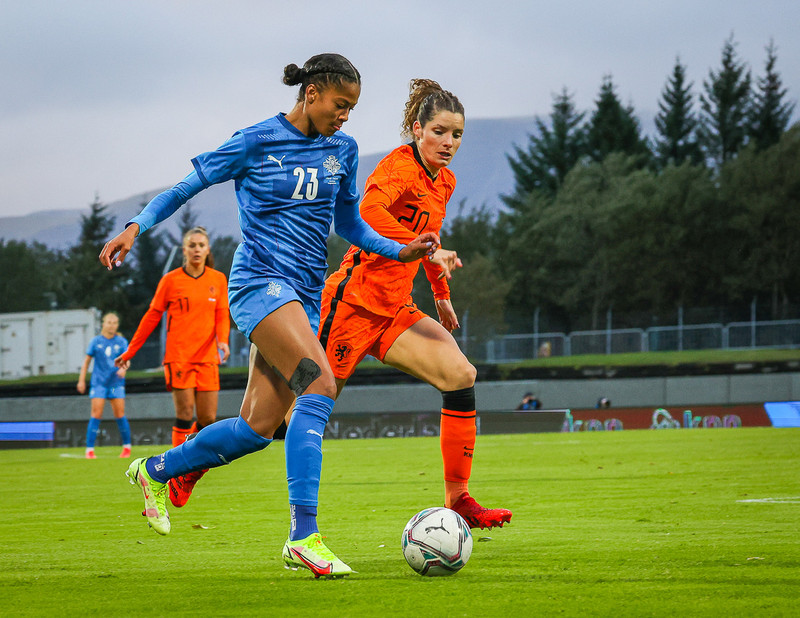 Myndaveisla 1: Holland vann Ísland á Laugardalsvelli