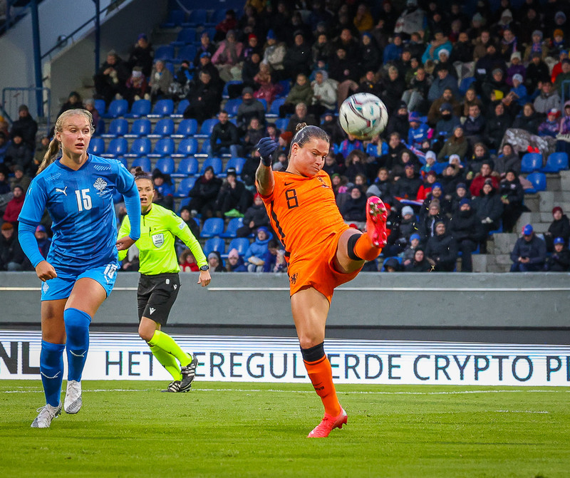 Myndaveisla 1: Holland vann Ísland á Laugardalsvelli