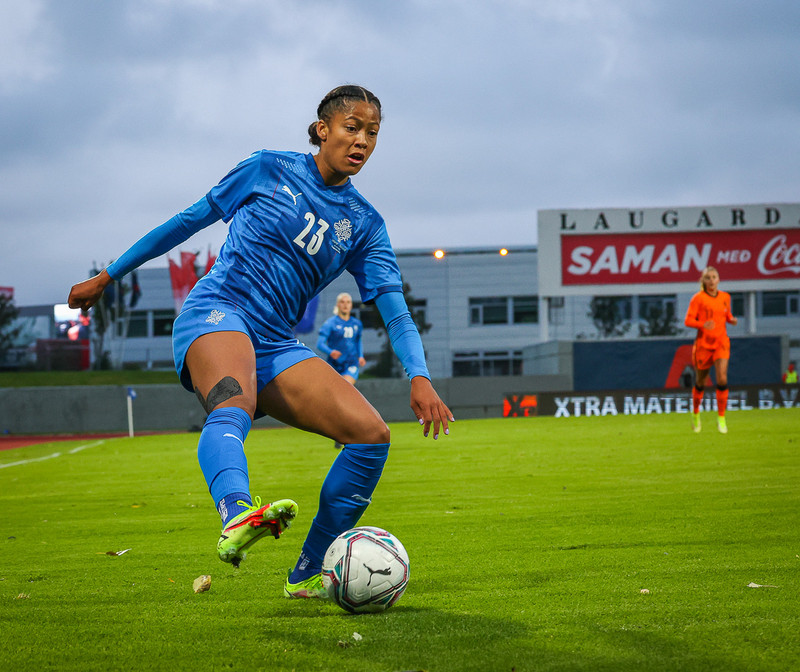 Myndaveisla 1: Holland vann Ísland á Laugardalsvelli