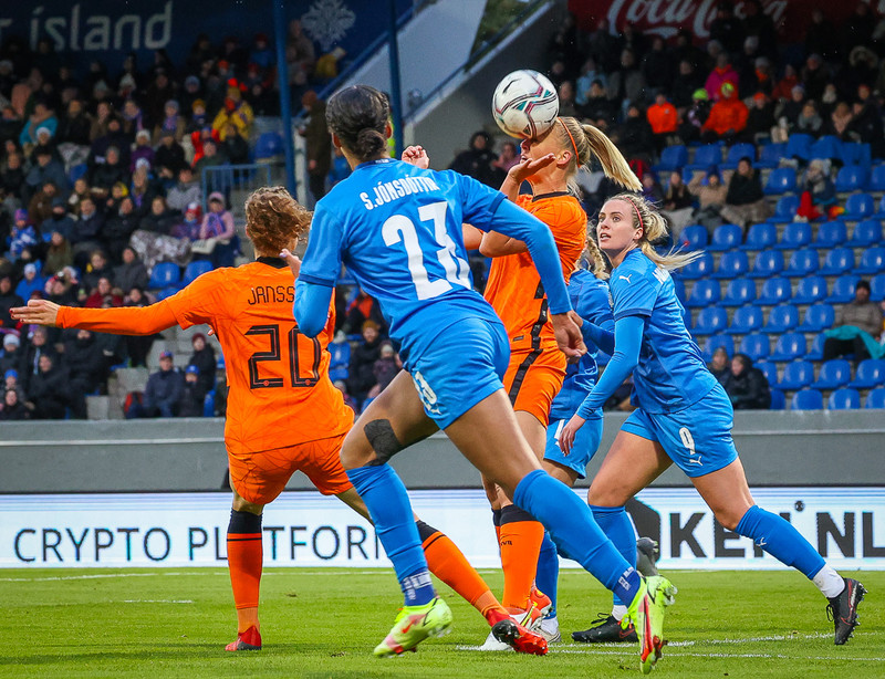 Myndaveisla 1: Holland vann Ísland á Laugardalsvelli