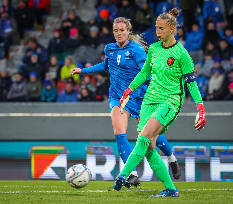 Myndaveisla 1: Holland vann Ísland á Laugardalsvelli
