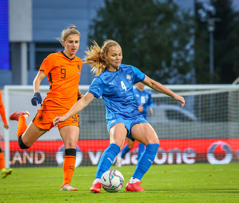 Myndaveisla 1: Holland vann Ísland á Laugardalsvelli