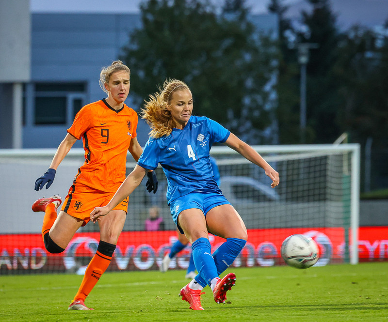 Myndaveisla 1: Holland vann Ísland á Laugardalsvelli