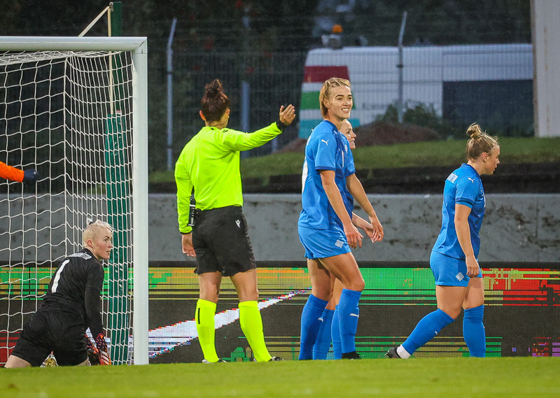 Myndaveisla 1: Holland vann Ísland á Laugardalsvelli