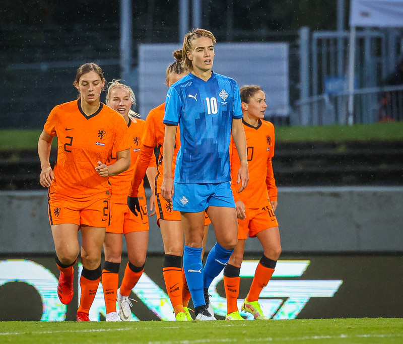Myndaveisla 1: Holland vann Ísland á Laugardalsvelli