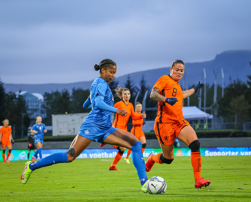 Myndaveisla 1: Holland vann Ísland á Laugardalsvelli