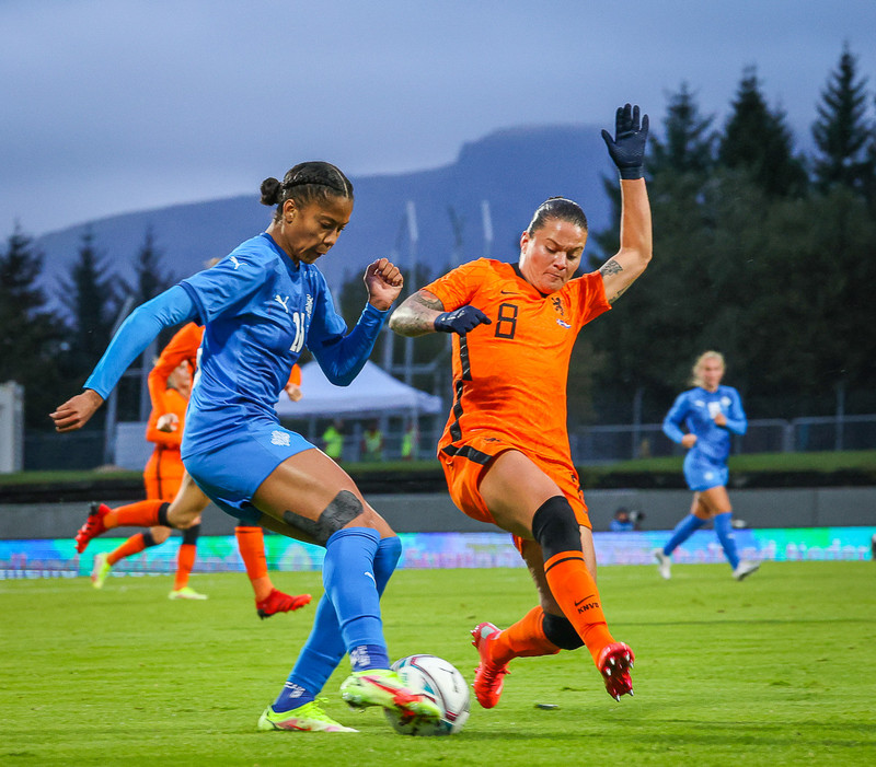 Myndaveisla 1: Holland vann Ísland á Laugardalsvelli