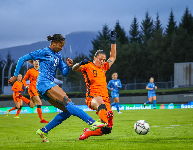 Myndaveisla 1: Holland vann Ísland á Laugardalsvelli