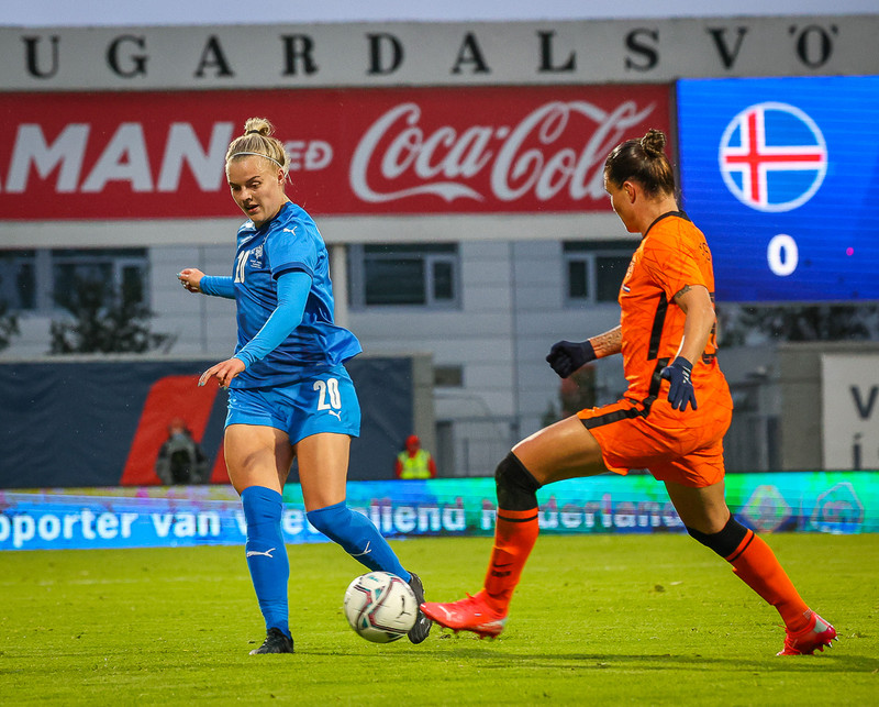 Myndaveisla 1: Holland vann Ísland á Laugardalsvelli