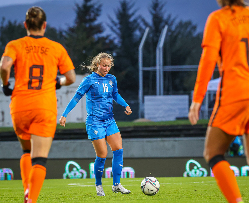 Myndaveisla 1: Holland vann Ísland á Laugardalsvelli