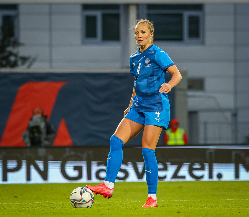 Myndaveisla 1: Holland vann Ísland á Laugardalsvelli