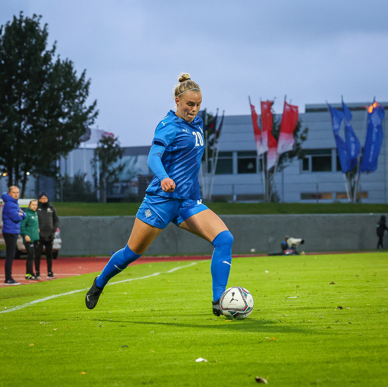 Myndaveisla 1: Holland vann Ísland á Laugardalsvelli