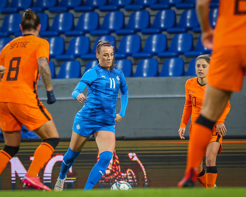 Myndaveisla 1: Holland vann Ísland á Laugardalsvelli