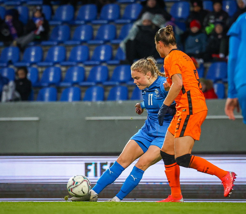 Myndaveisla 1: Holland vann Ísland á Laugardalsvelli
