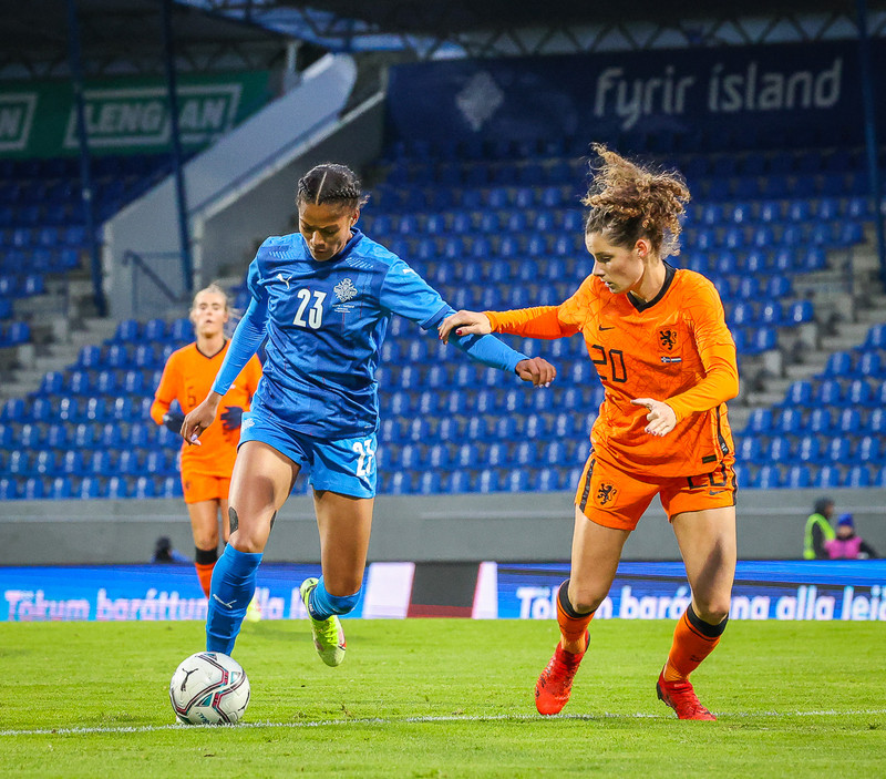 Myndaveisla 1: Holland vann Ísland á Laugardalsvelli