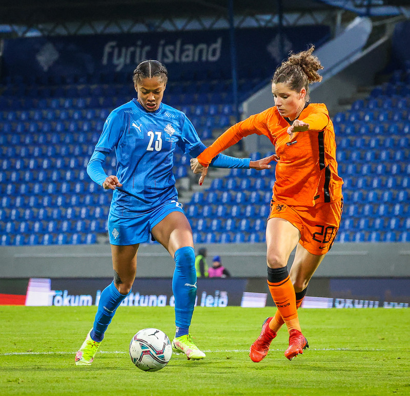Myndaveisla 1: Holland vann Ísland á Laugardalsvelli