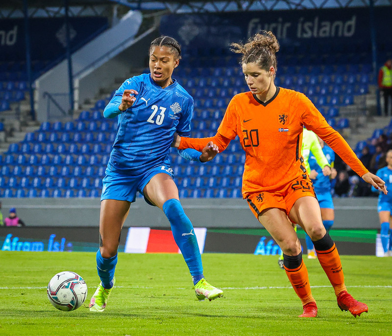 Myndaveisla 1: Holland vann Ísland á Laugardalsvelli