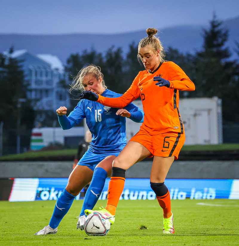 Myndaveisla 1: Holland vann Ísland á Laugardalsvelli