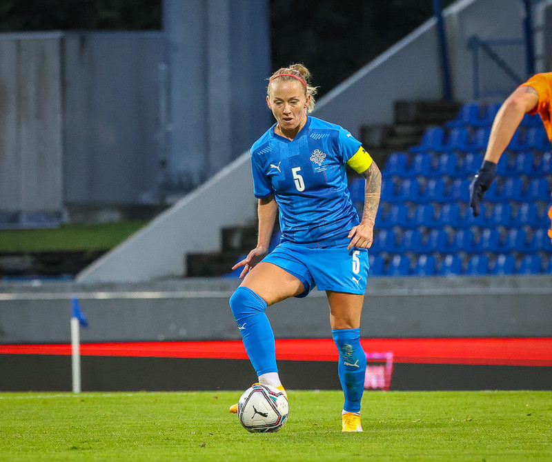 Myndaveisla 1: Holland vann Ísland á Laugardalsvelli