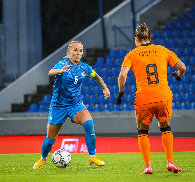 Myndaveisla 1: Holland vann Ísland á Laugardalsvelli