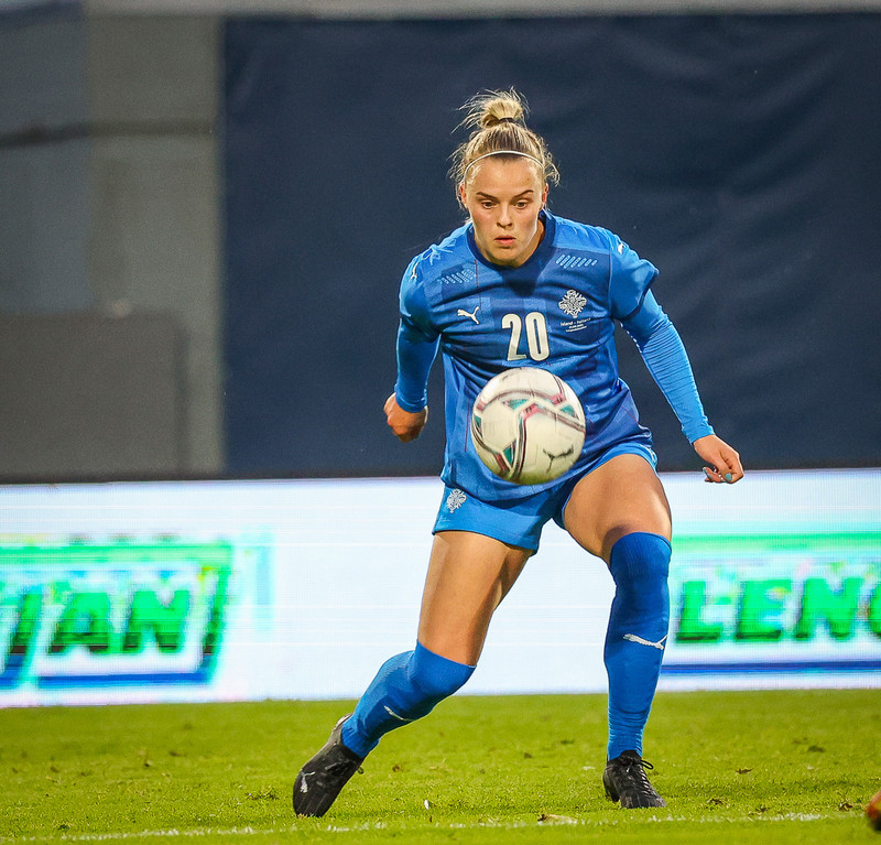 Myndaveisla 1: Holland vann Ísland á Laugardalsvelli