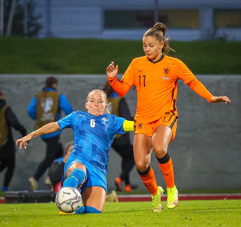 Myndaveisla 1: Holland vann Ísland á Laugardalsvelli